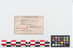 Etiketten zu Bronzebrillenfibel (NHMW-PRAE-024873)